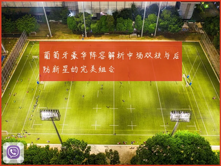 葡萄牙豪华阵容解析中场双核与后防新星的完美组合