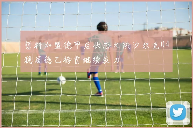 哲科加盟德甲后状态火热沙尔克04稳居德乙榜首继续发力