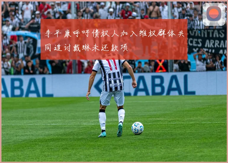 李平康呼吁债权人加入维权群体共同追讨戴琳未还款项
