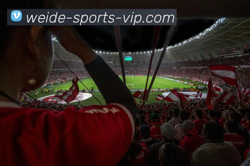 App Interface Preview