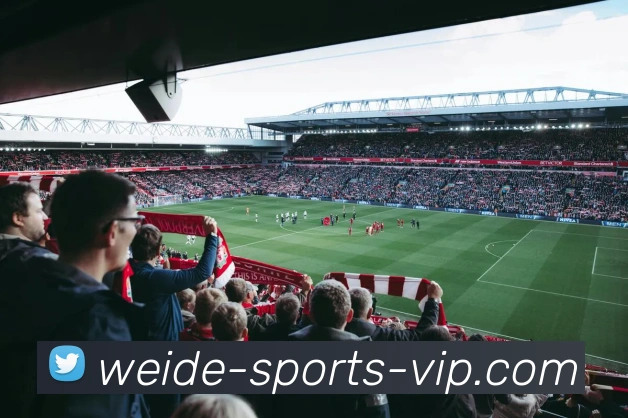 伟德体育APP 封面图